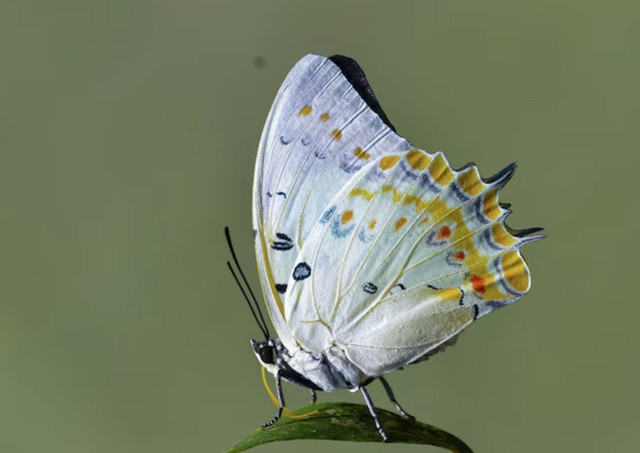 Không chỉ thông minh, người sinh giờ Tý còn có sức hút tự nhiên. Họ không cần quá phô trương nhưng vẫn tạo được thiện cảm trong các mối quan hệ. Ảnh minh họa