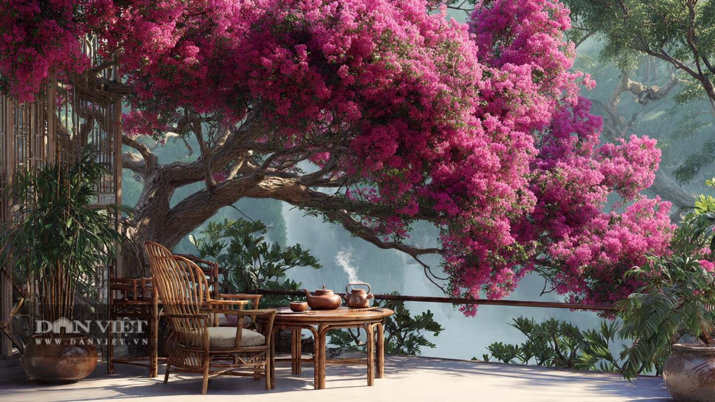 Cây cảnh xua đuổi mọi vận rủi, sự u ám, mệt mỏi