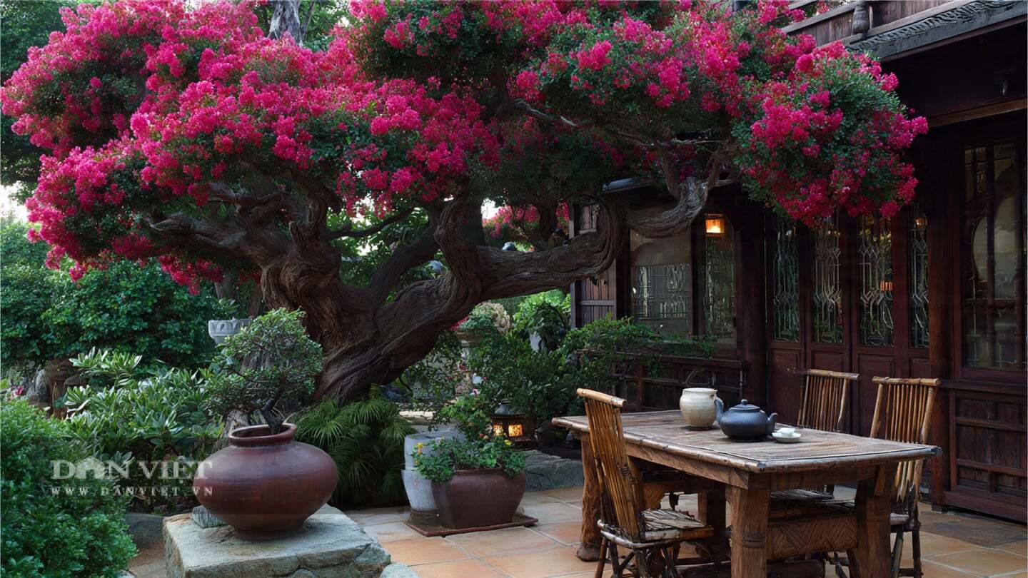 Cây cảnh chịu được lạnh.