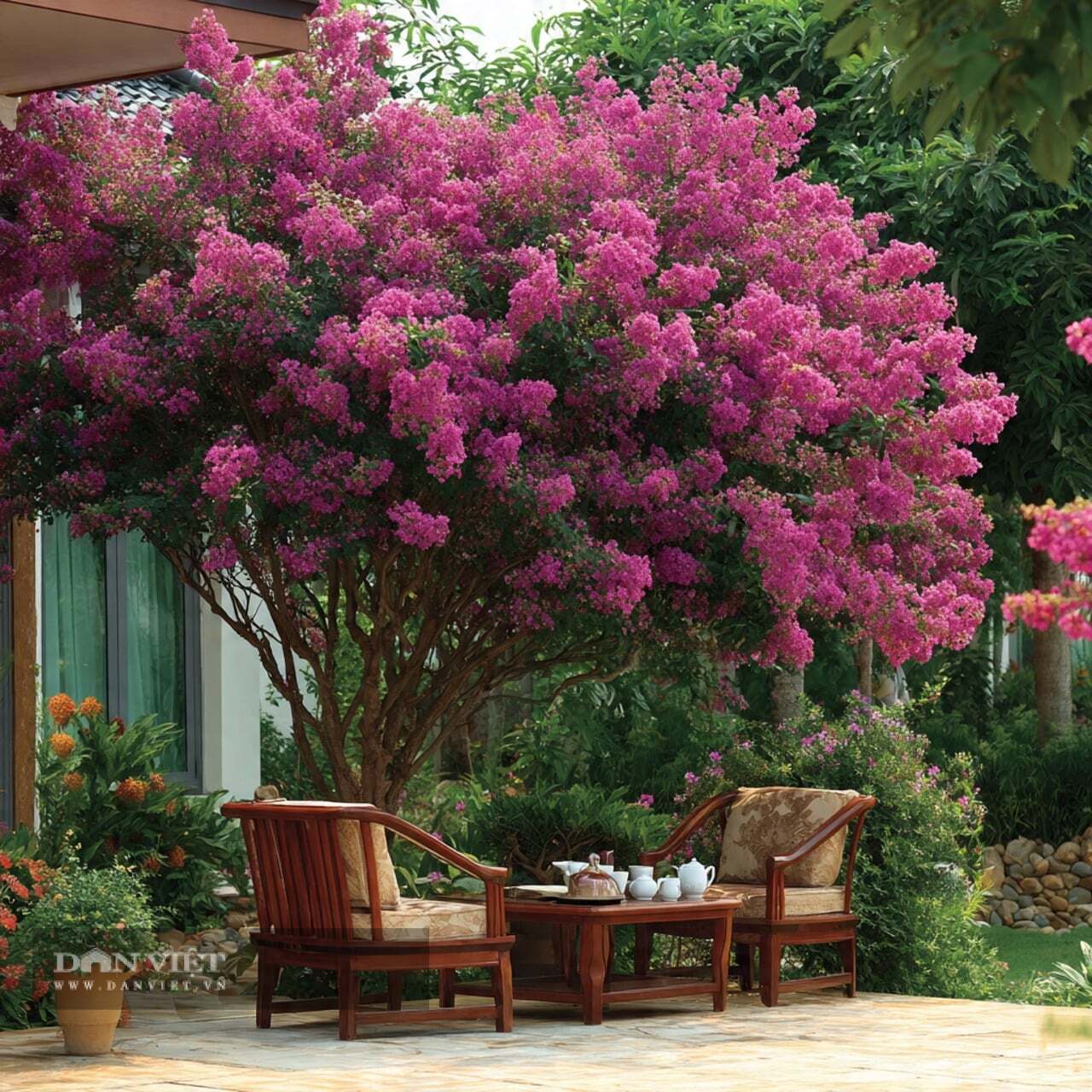 Cây cảnh chịu hạn tốt