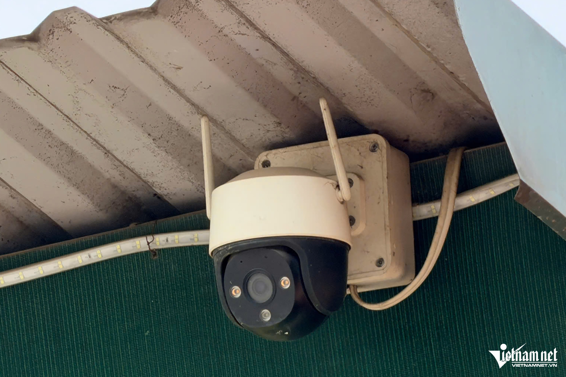Camera giăng kín amp;#34;căn bếpamp;#34; cung cấp thịt lợn nhiễm bệnh vào trường học ở Hà Nội - 3