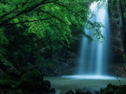 Eva tám - Sinh đúng giờ "hoàng kim", 3 con giáp này hưởng trọn phú quý, dễ thành đại gia