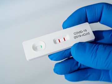 Sức khỏe - Biến thể Covid-19 Ve sầu "tàng hình" trước hệ miễn dịch