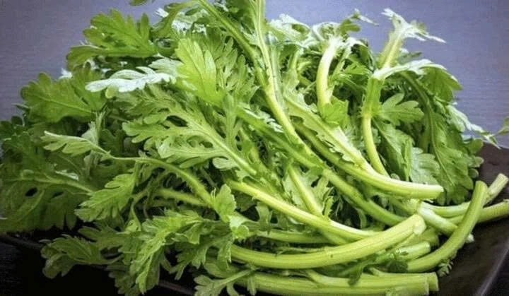 Rau cải cúc chính là loại rau mùa đông vừa ngon ngọt vừa giúp chị em giảm cân.