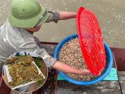 Lifestyle - Đặc sản "trời ban" chỉ xuất hiện vài giờ ở sông Hồng ngon hơn cả tôm cua, người có tiền cũng chưa chắc mua được