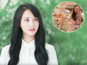 Đẹp - Không nhận ra nhan sắc “nữ thần thanh xuân” một thời, gương mặt cứng đờ với “đôi môi ếch” kỳ lạ