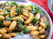 Lifestyle - Đặc sản "kinh dị" miền Tây cực béo ngậy được nghiên cứu "đưa vào vũ trụ", giá triệu đồng/đĩa vẫn có người tranh mua