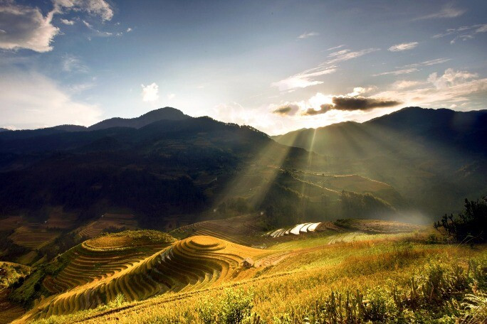 1769051507 81 Thumbnail Width1576Height1051