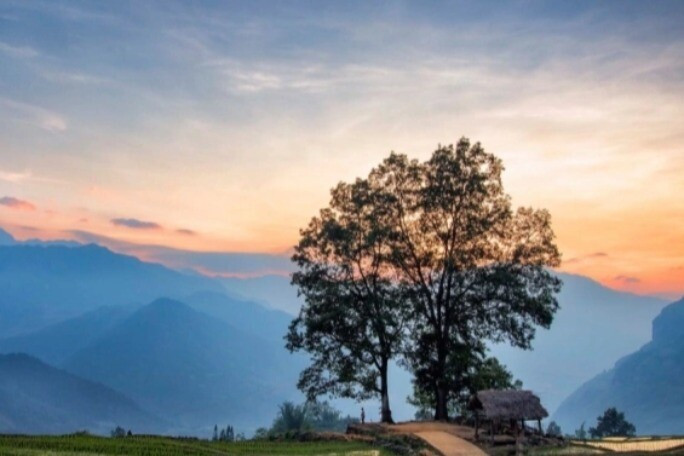 1769051638 306 Thumbnail Width566Height377