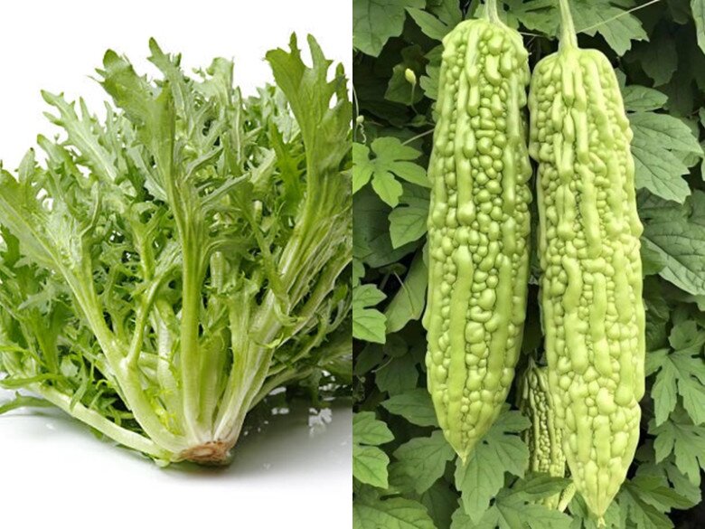 Thực phẩm đắng giúp cơ thể được thanh lọc, hỗ trợ quá trình đốt mỡ.