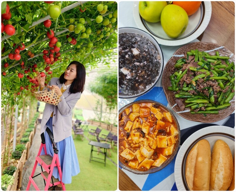 Là người mê nấu ăn nên chị Hải Trang rất chỉn chu với từng mâm cơm gia đình. Các bữa ăn chị nấu mặc dù không cầu kỳ nhưng rất ngon miệng, đa dạng món. Tham khảo các mâm cơm nhà chị Trang dưới đây nhé: