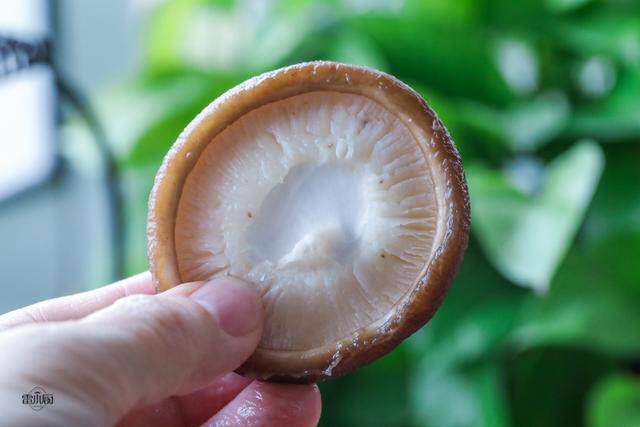 Chỉ rửa nấm hương với nước bẩn như chưa rửa, nhớ làm thế này nấm sạch bong tha hồ nấu Tết - 4