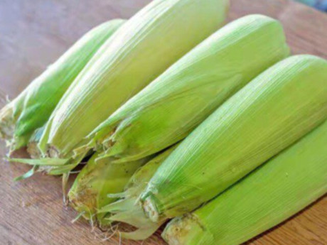 Bếp Eva - Ngô mua về ăn không hết đem luộc rồi mới trữ đông hay cho luôn vào ngăn đá, đây là cách của người chuyên nghiệp