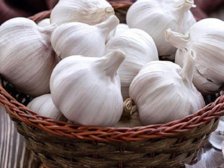Bếp Eva - Mùa nồm mua tỏi, làm ngay những điều này, tỏi để cả năm chẳng mọc mầm, mối mọt