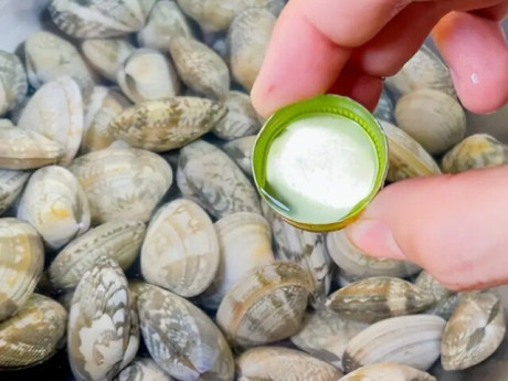 Mua ngao về nhiều cát, ngư dân kinh nghiệm 10 năm mách cho ngao uống thứ này 5 phút là nhả sạch, tha hồ nấu ăn