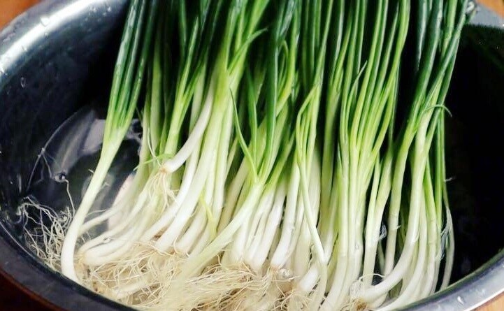 Hành lá mua nhiều ăn không hết, nhúng vào nước này rồi cất để vài tháng đến nửa năm vẫn tươi ngon - 1