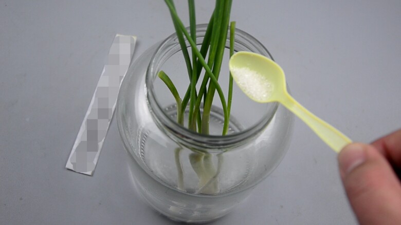 Hành lá mua nhiều ăn không hết, nhúng vào nước này rồi cất để vài tháng đến nửa năm vẫn tươi ngon - 4