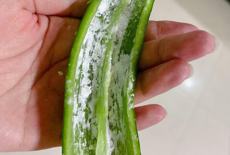 Không chỉ để xào, quả này đem nhồi tôm ngon bất ngờ, 10 người thì 11 người chưa biết - 3