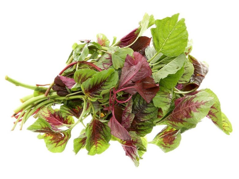 Loại rau chứa lượng axit folic gấp 17 lần dưa chuột, canxi gấp 3 lần cải bó xôi, đem làm món ăn sáng cực hấp dẫn - 1