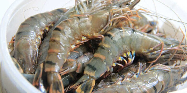 Luộc t&ocirc;m đừng d&ugrave;ng h&agrave;nh, gừng để khử tanh, chỉ cần th&ecirc;m v&agrave;i hạt n&agrave;y t&ocirc;m ch&iacute;n đỏ au, đậm vị ngọt tự nhi&ecirc;n - 2