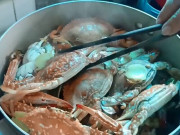 Bếp Eva - Hấp cua ghẹ dùng nước nào thì ngon, nhiều người làm sai nên hay bị tanh, thịt kém ngọt