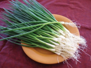 Bếp Eva - Hành lá mua nhiều ăn không hết, nhúng vào nước này rồi cất để vài tháng đến nửa năm vẫn tươi ngon