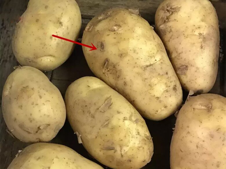 Mua khoai t&acirc;y, đừng chỉ chọn theo k&iacute;ch cỡ; h&atilde;y ph&acirc;n biệt giữa khoai t&acirc;y bở v&agrave; khoai t&acirc;y gi&ograve;n, chọn sai m&oacute;n ăn mất ngon - 3