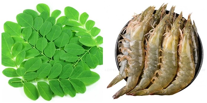 Cây này thường bị nhầm là rau ngót, canxi gấp 4 lần sữa, nấu canh với tôm vừa ngon ngọt, bổ dưỡng lại thanh mát - 2