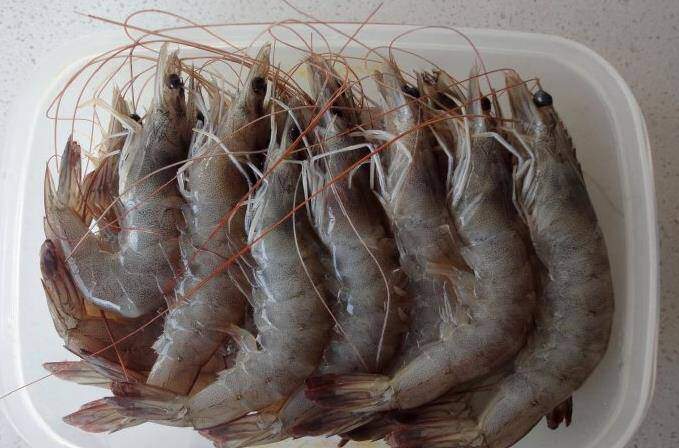 T&ocirc;m mua về đừng cho ngay v&agrave;o tủ lạnh, th&ecirc;m 1 th&igrave;a ngọt lịm n&agrave;y t&ocirc;m để l&acirc;u vẫn tươi như mới - 4