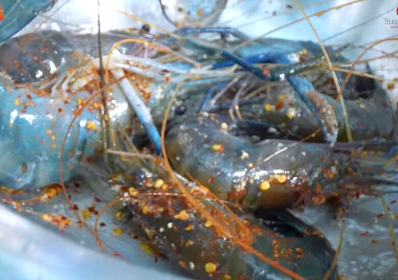 Trường Giang lội bùn bắt sản vật, cùng amp;#34;vua nhạc miền Tâyamp;#34; và cô em thân thiết làm loạt món dân dã mà ngon - 9