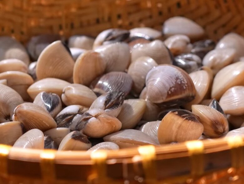 Rổ nghêu trắng sạch sau khi được thu hoạch và sơ chế kỹ lưỡng.