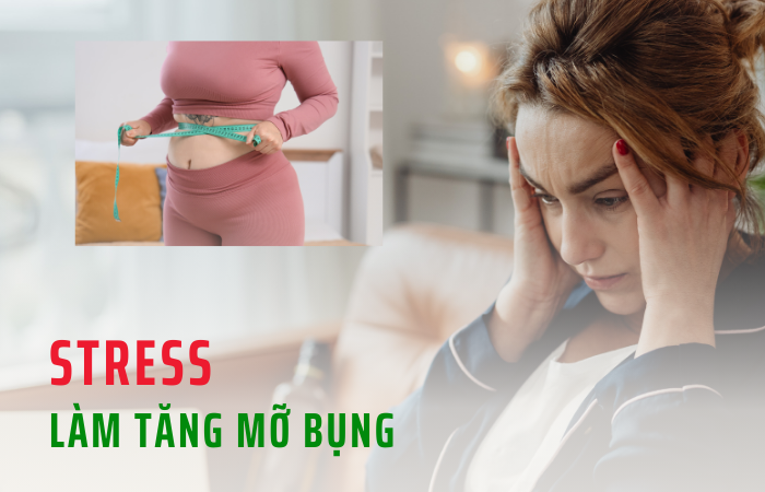 Stress làm tăng kích thước vòng eo