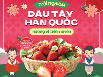 Sức hút từ vị ngọt thiên nhiên của Dâu tây Hàn Quốc tại chương trình Sampling cùng Biovegi