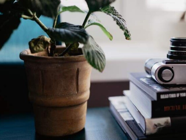 Người trả lời tin nhắn bạn như này, tránh xa sớm chính là khôn ngoan!