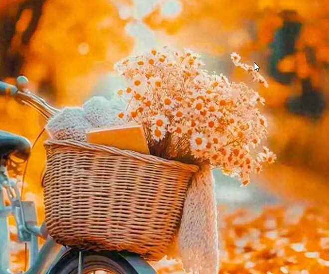 20 việc nhỏ giúp amp;#34;vận khíamp;#34; của bạn ngày càng hưng vượng - 1