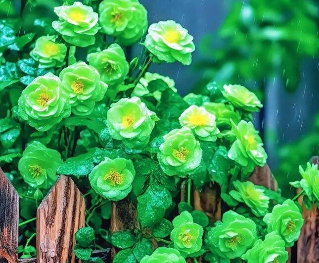 20 việc nhỏ giúp amp;#34;vận khíamp;#34; của bạn ngày càng hưng vượng - 2