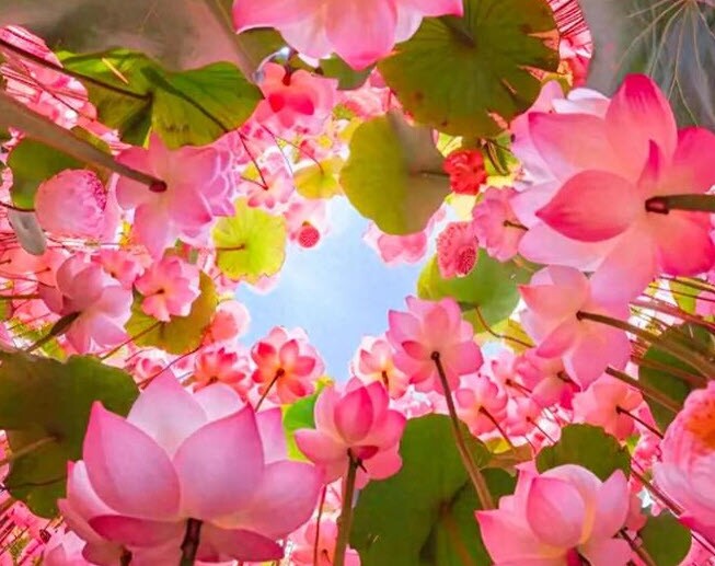 20 việc nhỏ giúp amp;#34;vận khíamp;#34; của bạn ngày càng hưng vượng - 4