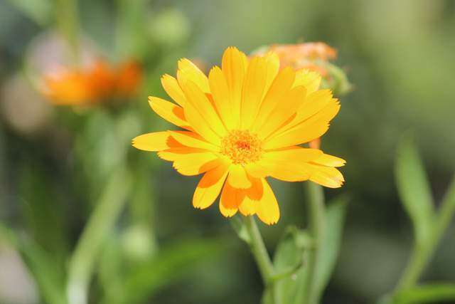 4 kiểu người thường mang lại vận rủi, quan hệ tốt đến mấy cũng đừng kết thân - 2