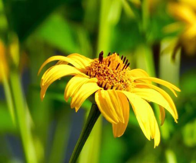 4 kiểu người thường mang lại vận rủi, quan hệ tốt đến mấy cũng đừng kết thân - 1