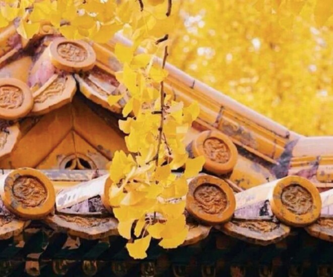 5 dấu hiệu vận may sắp gõ cửa: Bạn có được mấy phần? - 1