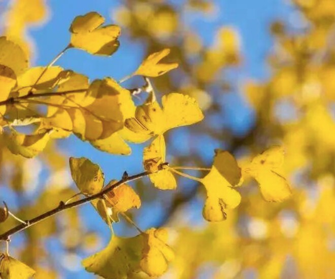 5 dấu hiệu vận may sắp gõ cửa: Bạn có được mấy phần? - 3