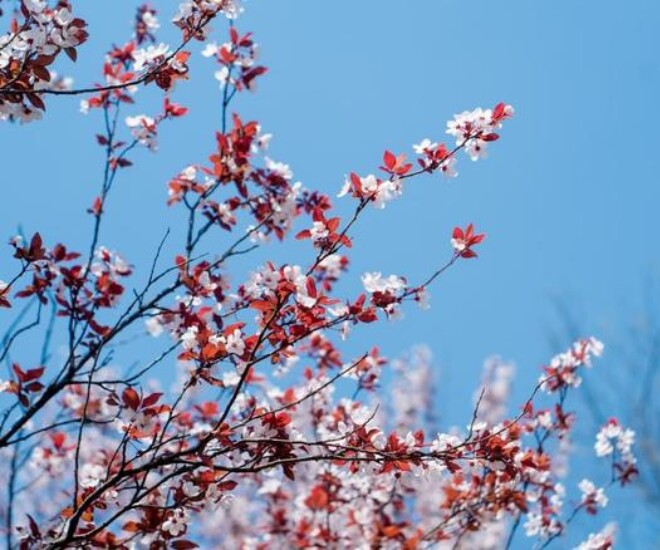 Bạn càng thư giãn, kết quả càng tốt đẹp - 2