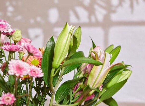 Cách trả thù khôn ngoan nhất đối với một người, chỉ gói gọn trong 2 chữ - 2