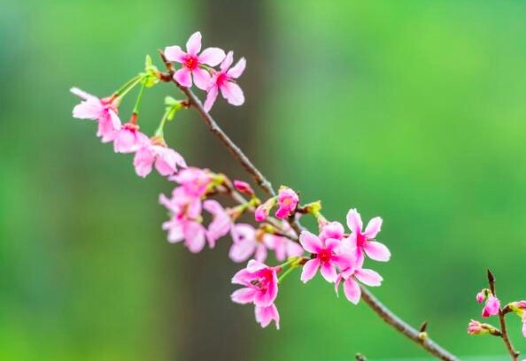 Cách trả thù khôn ngoan nhất đối với một người, chỉ gói gọn trong 2 chữ - 3