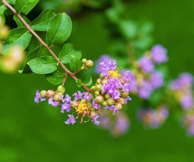 Cách trả thù khôn ngoan nhất đối với một người, chỉ gói gọn trong 2 chữ - 1