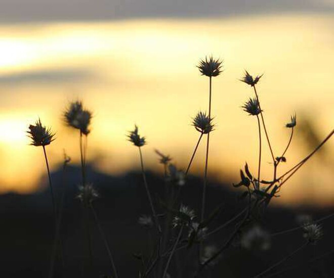 Càng bình tĩnh, bạn sẽ càng chiến thắng! - 1