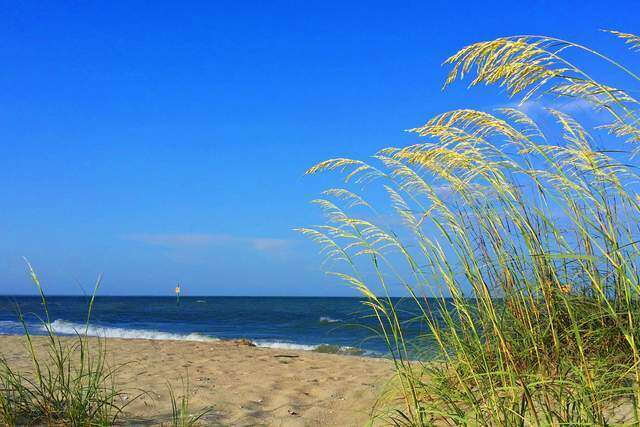 Càng không tính toán được mất, bạn càng có được tự do, hạnh phúc - 3