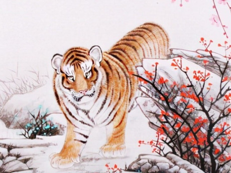 Tử vi tuần mới 12-18/1: Dần tràn ngập tin vui, Tý có quý nhân dẫn lối