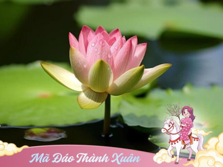 Biết tránh 4 điều này, phụ nữ sẽ có cuộc sống ngày càng tốt đẹp, bình an