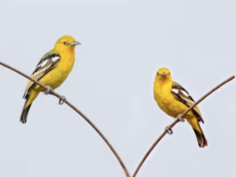 4 tháng sinh Âm lịch của người mang số phát đạt, hậu vận an nhàn, con cháu hiếu thuận